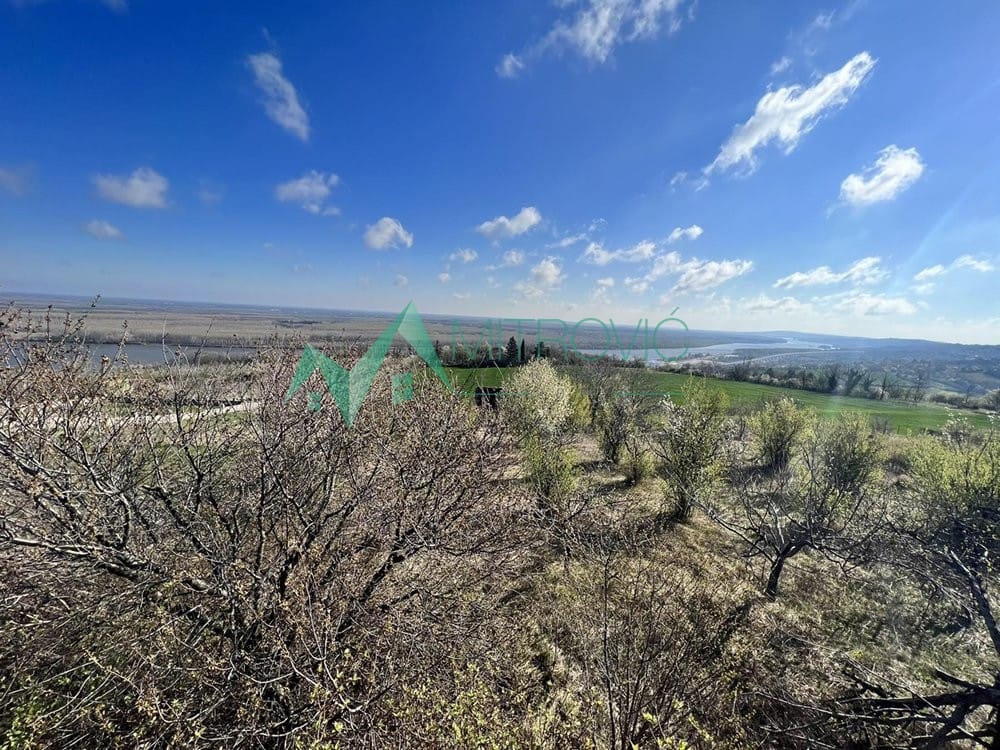 Plac Prodaja Sremski Karlovci Plac Prodaja Sremski Karlovci 8048 m2