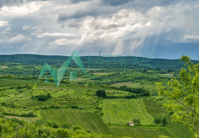 Plac Prodaja Čortanovci Plac Prodaja Čortanovci 3615 m2