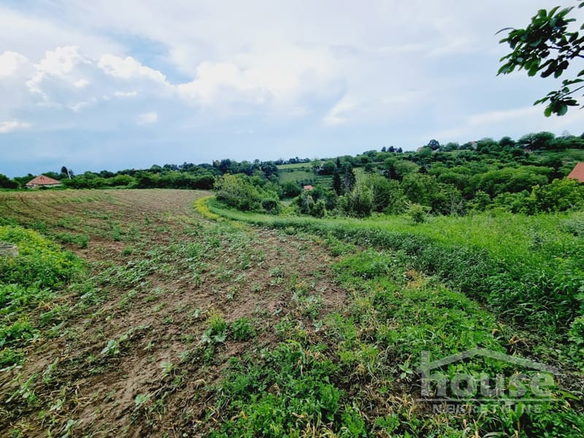 Plac Prodaja Novi Sad  8470 m2