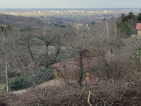 Plac Prodaja Novi Sad  813 m2