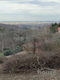 Plac Prodaja Novi Sad  813 m2