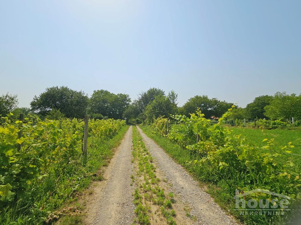 Plac Prodaja Novi Sad Plac Prodaja Novi Sad 751 m2