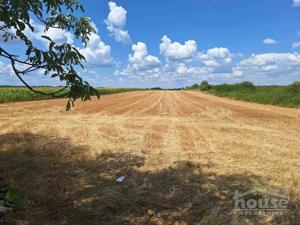 Plac Prodaja Novi Sad  11523 m2
