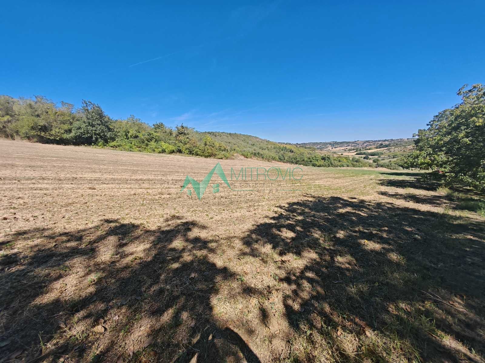 Plac Prodaja Bukovac Plac Prodaja Bukovac 49059 m2