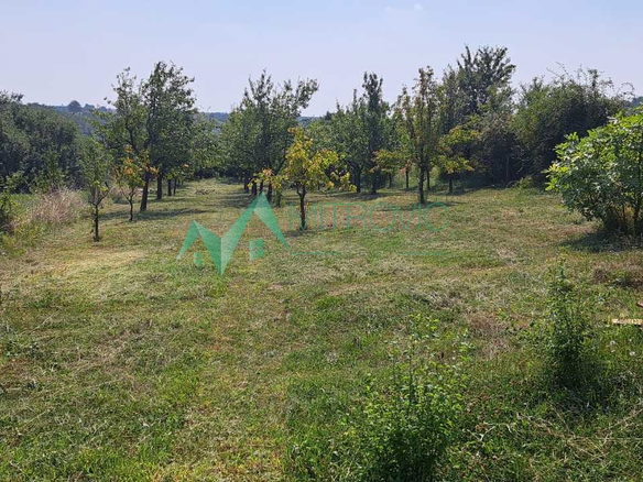 Plac Prodaja Irig  1381 m2