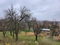Plac Prodaja Novi Sad  7000 m2
