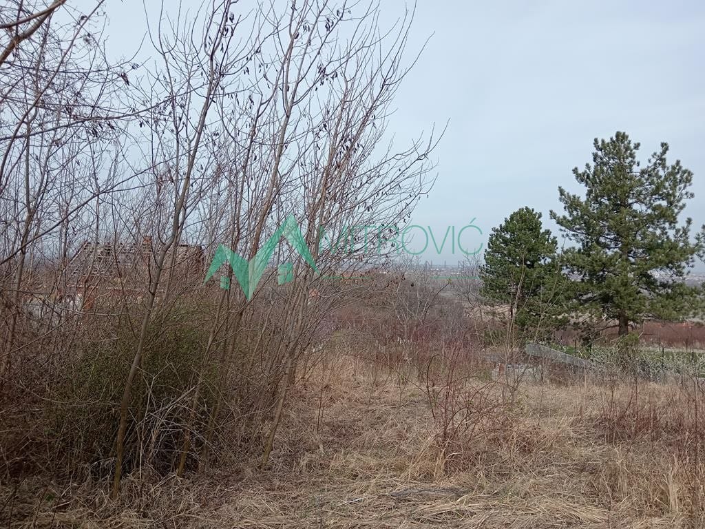 Plac Prodaja Sremska Kamenica Plac Prodaja Sremska Kamenica 2504 m2