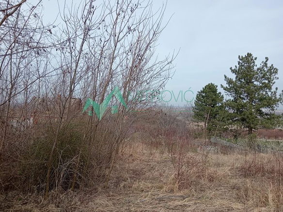 Plac Prodaja Sremska Kamenica  2504 m2