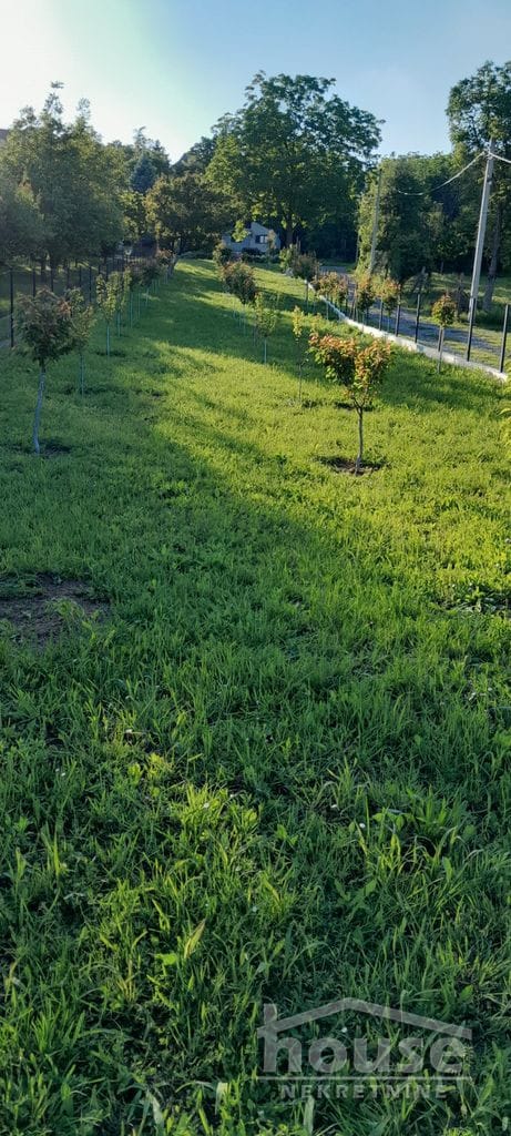 Plac Prodaja Novi Sad  427 m2