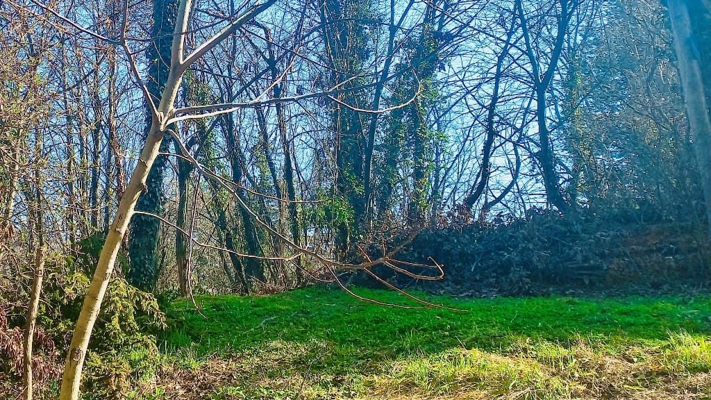 Plac Prodaja Novi Sad Plac Prodaja Novi Sad 2951 m2