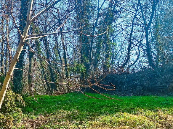 Plac Prodaja Novi Sad  2951 m2