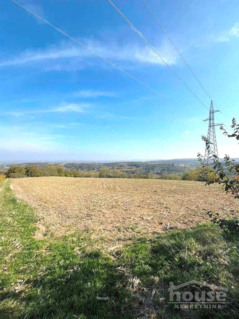 Plac Prodaja Novi Sad  12392 m2