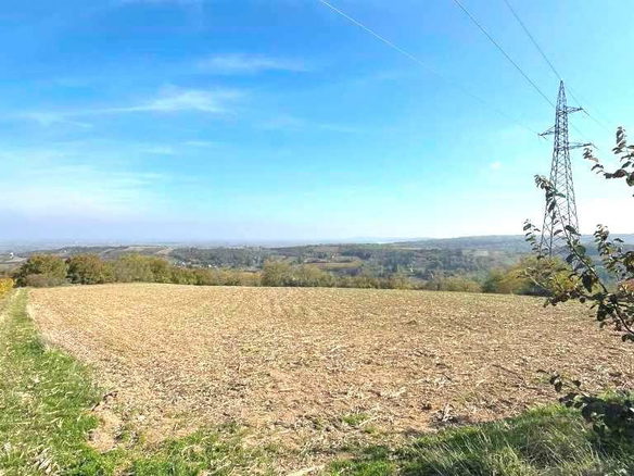 Plac Prodaja Novi Sad  12392 m2