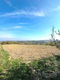 Plac Prodaja Novi Sad  12392 m2