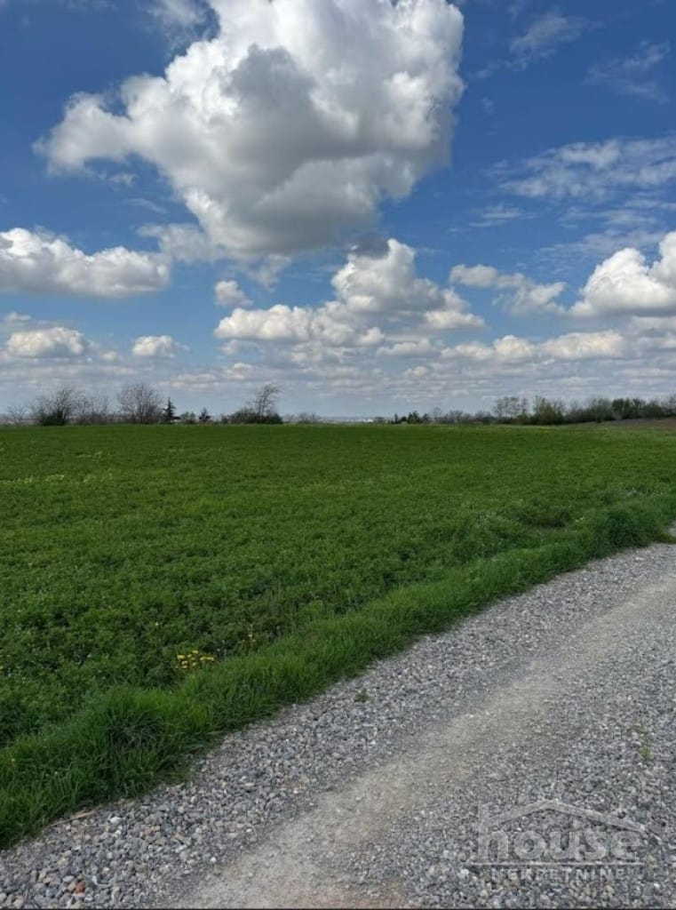 Plac Prodaja Novi Sad Plac Prodaja Novi Sad 1438 m2