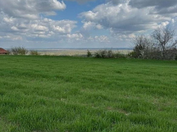Plac Prodaja Novi Sad  1438 m2