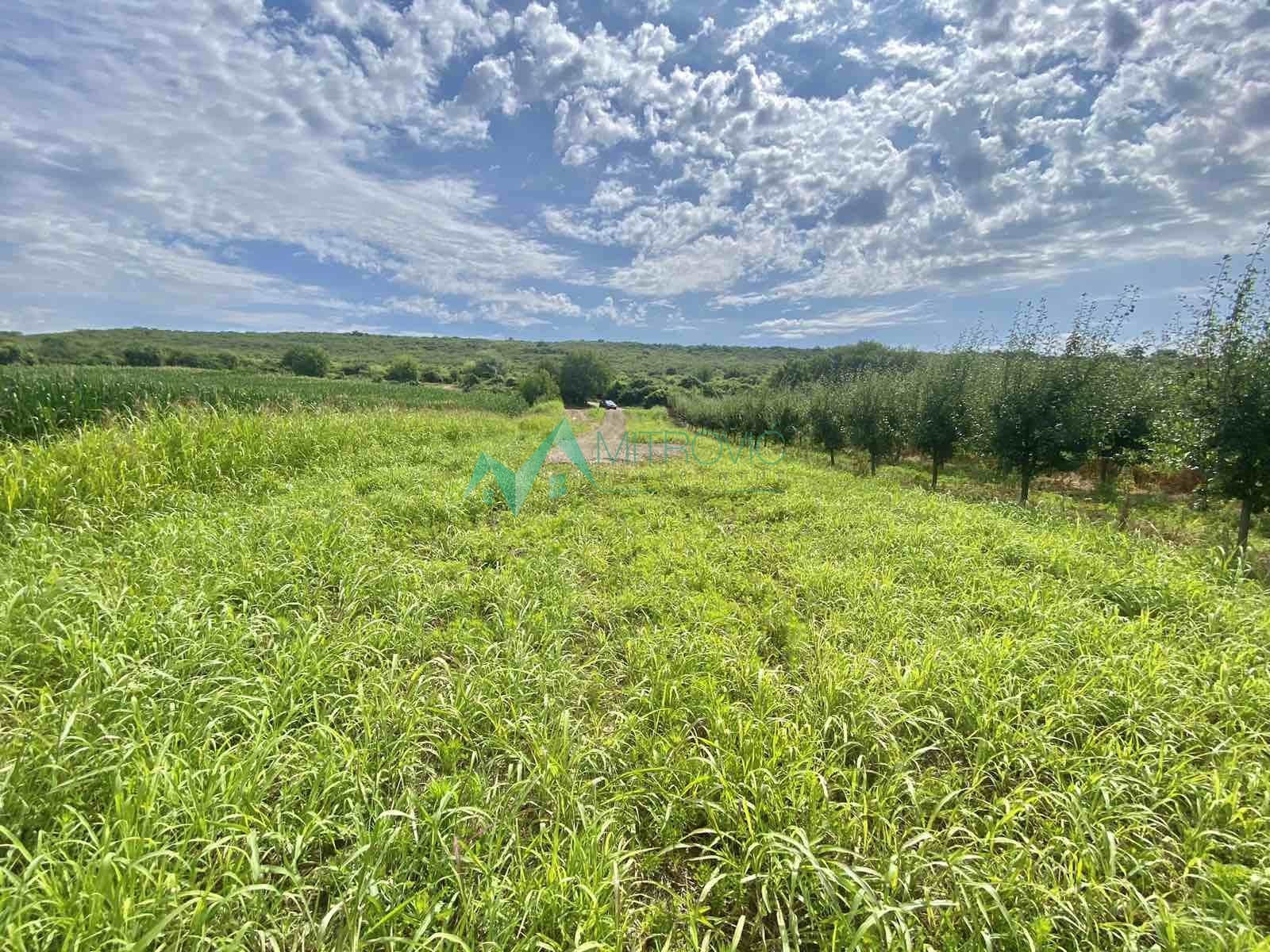 Plac Prodaja Vrdnik Plac Prodaja Vrdnik 1020 m2