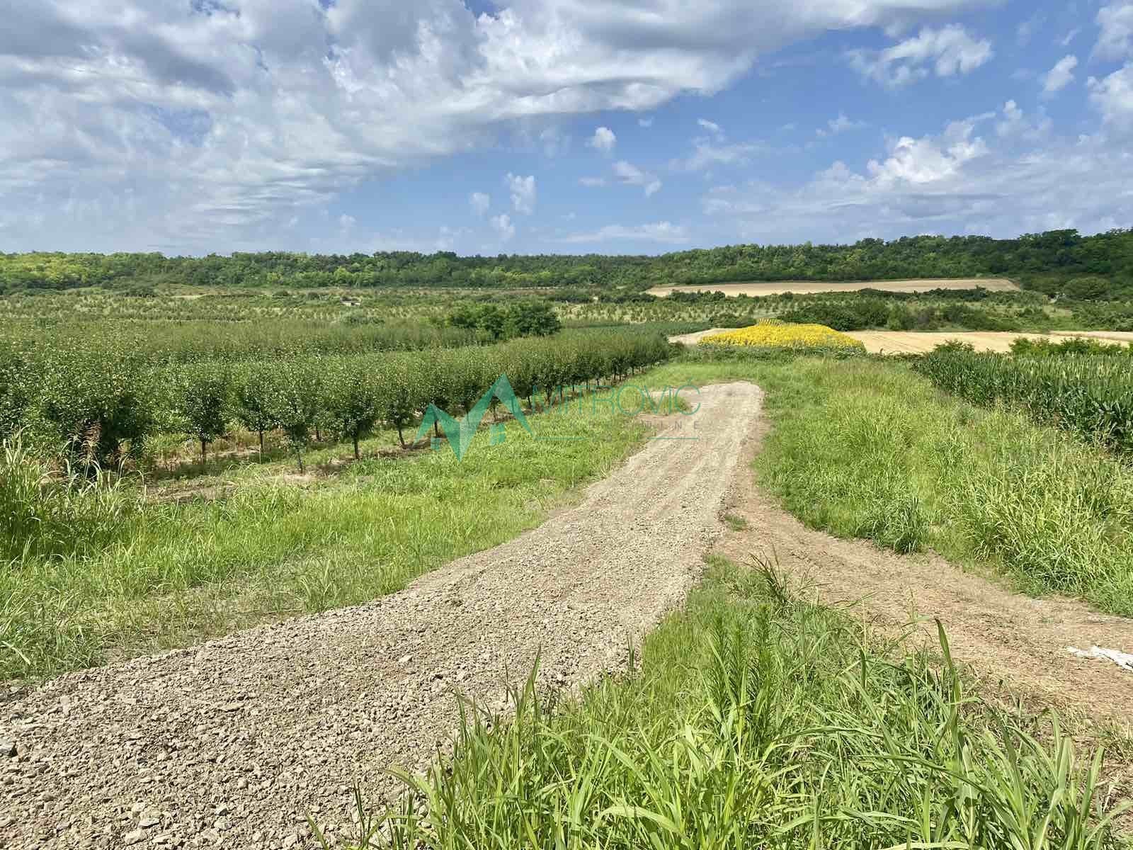 Plac Prodaja Vrdnik Plac Prodaja Vrdnik 1020 m2