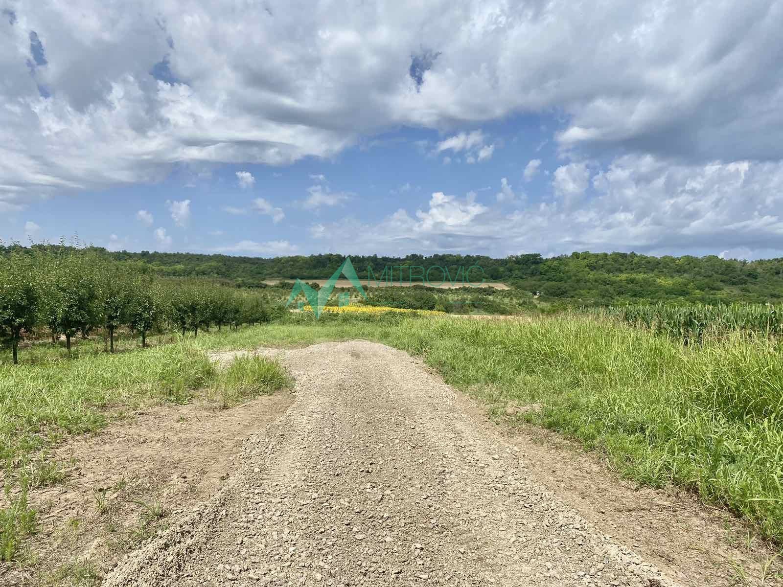 Plac Prodaja Vrdnik Plac Prodaja Vrdnik 1020 m2