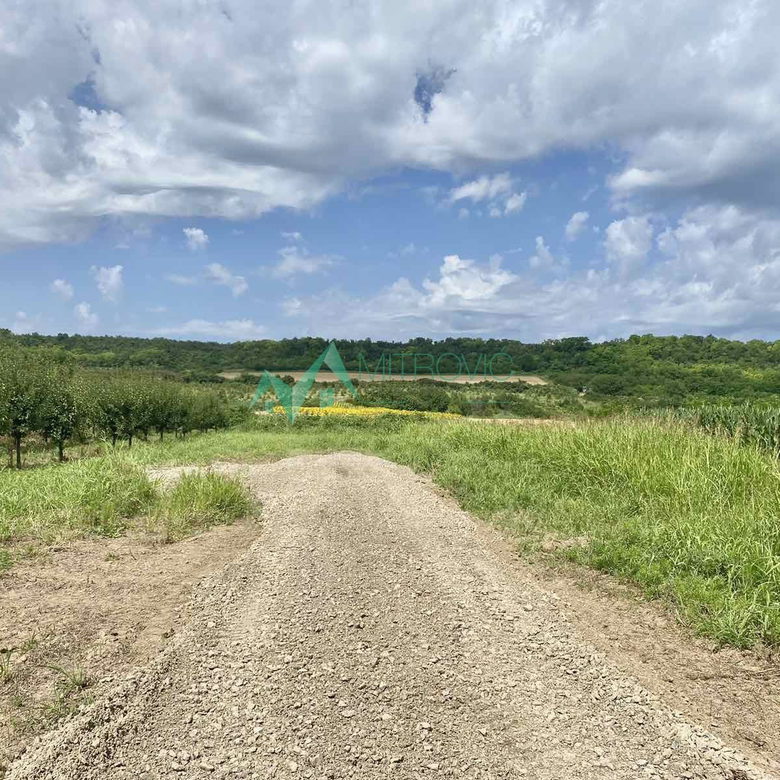 Plac Prodaja Vrdnik  1020 m2