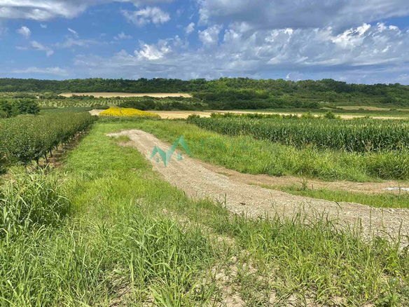 Plac Prodaja Vrdnik  1020 m2