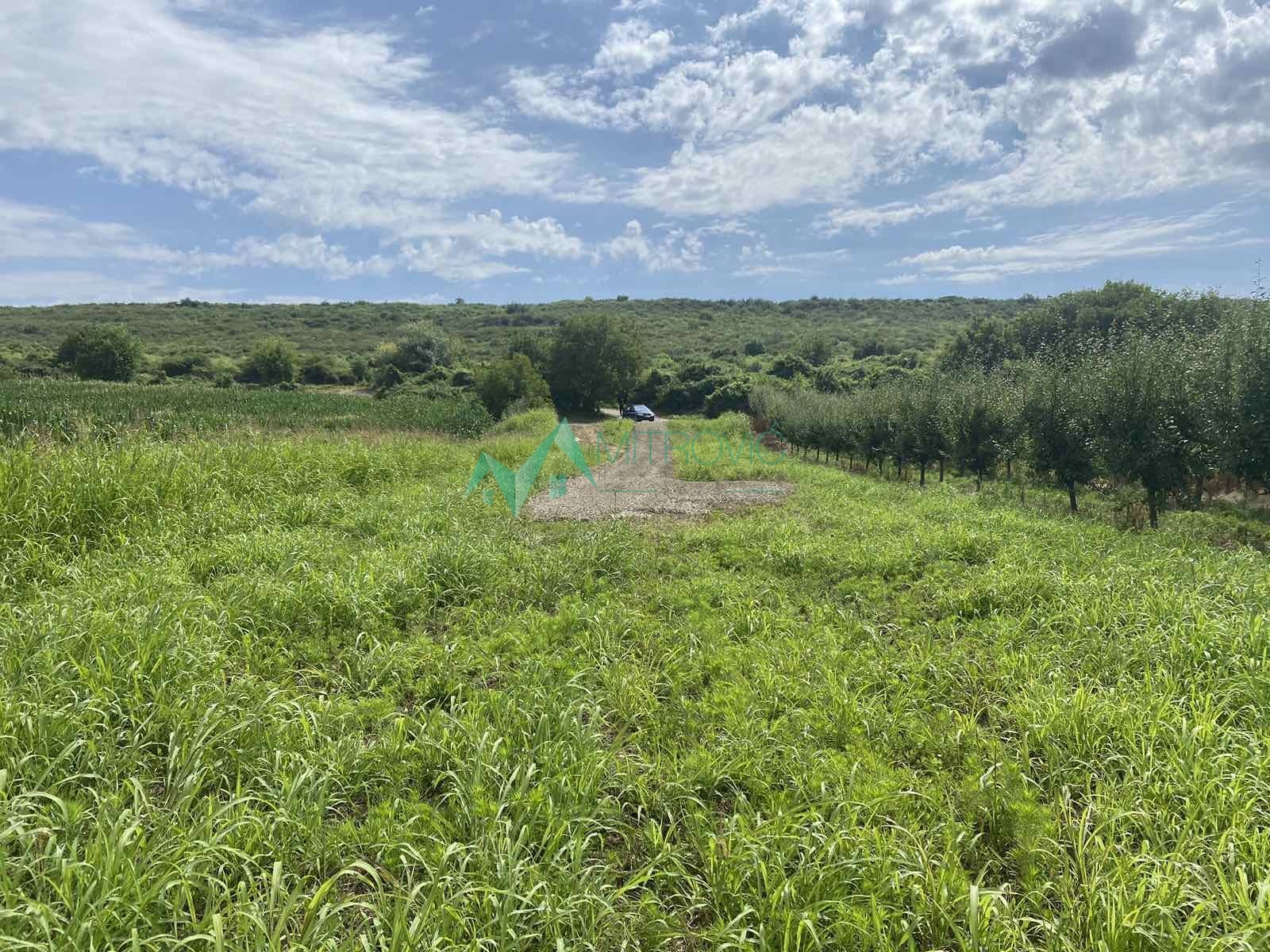 Plac Prodaja Vrdnik Plac Prodaja Vrdnik 1020 m2