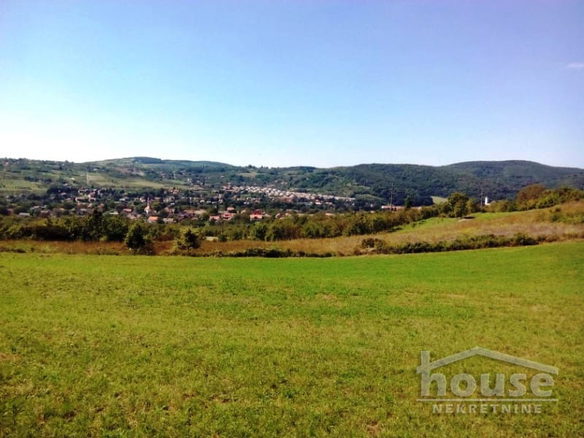Plac Prodaja Novi Sad  8233 m2
