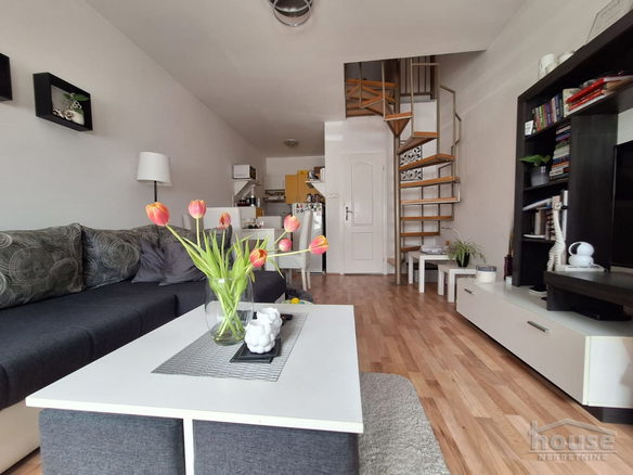 Stan Prodaja Novi Sad  50 m2