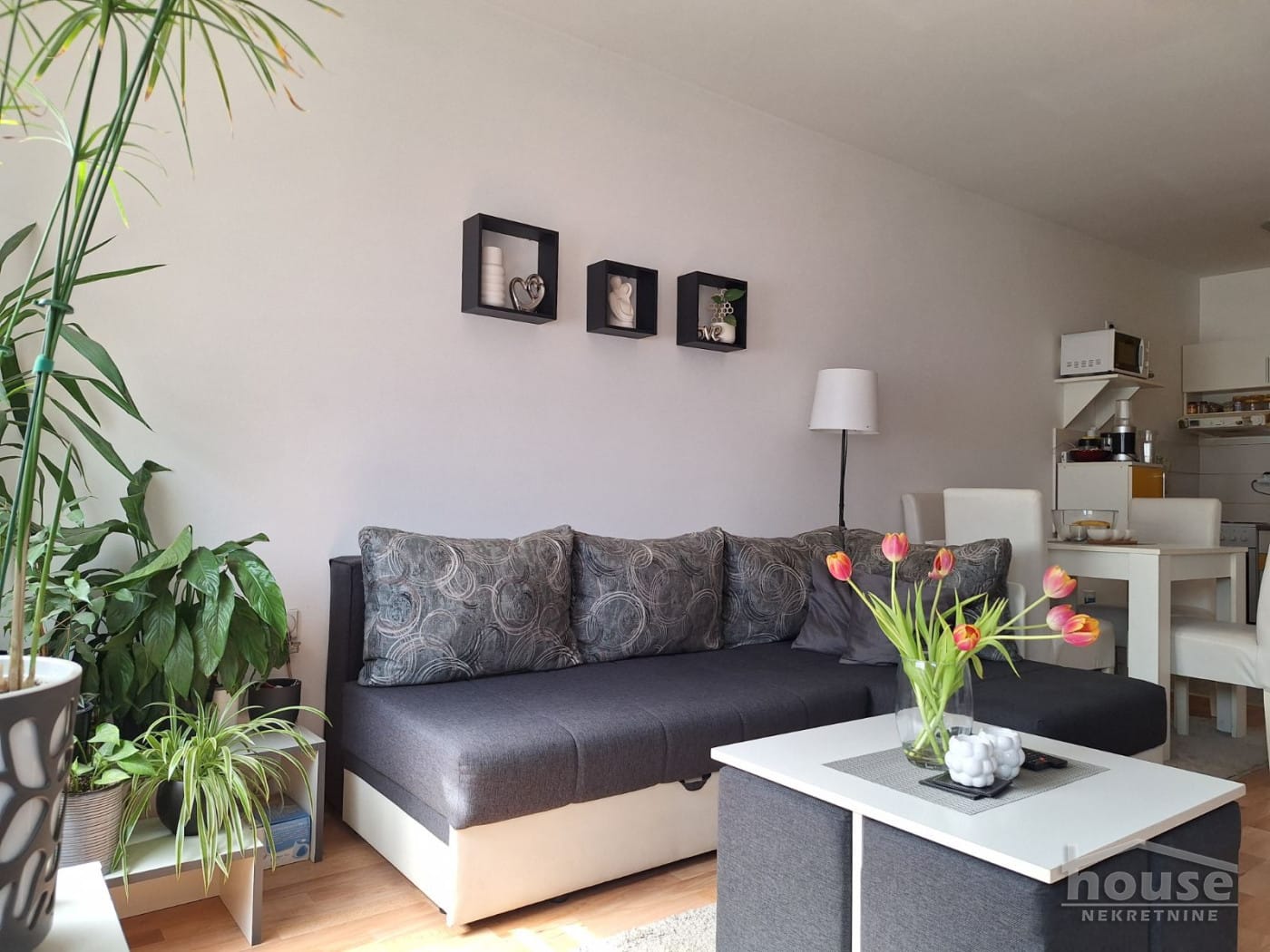 Stan Prodaja Novi Sad  50 m2