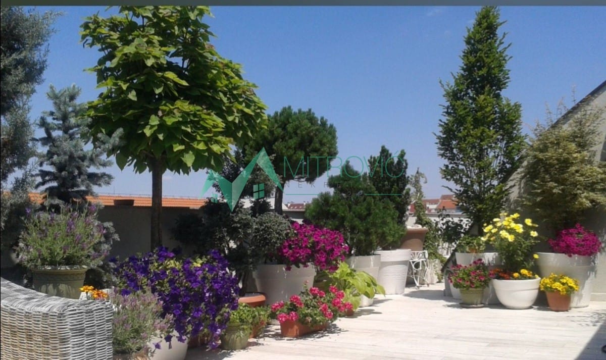 Stan Prodaja Novi Sad Stan Prodaja Novi Sad 239 m2
