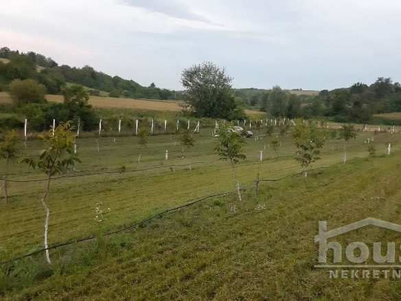 Plac Prodaja Novi Sad  9711 m2