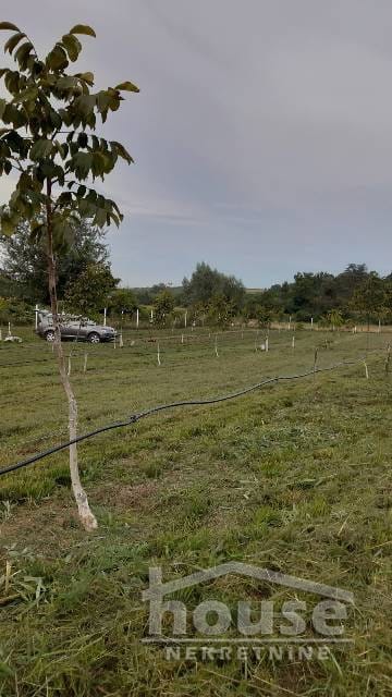 Plac Prodaja Novi Sad Plac Prodaja Novi Sad 9711 m2
