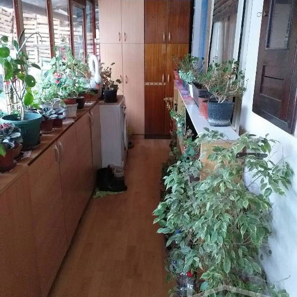 Kuća Prodaja Novi Sad  82 m2