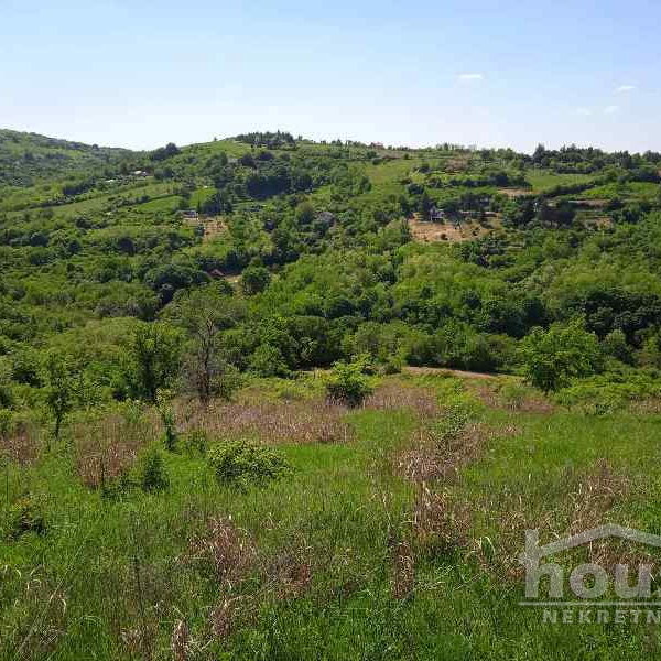 Plac Prodaja Novi Sad  6250 m2
