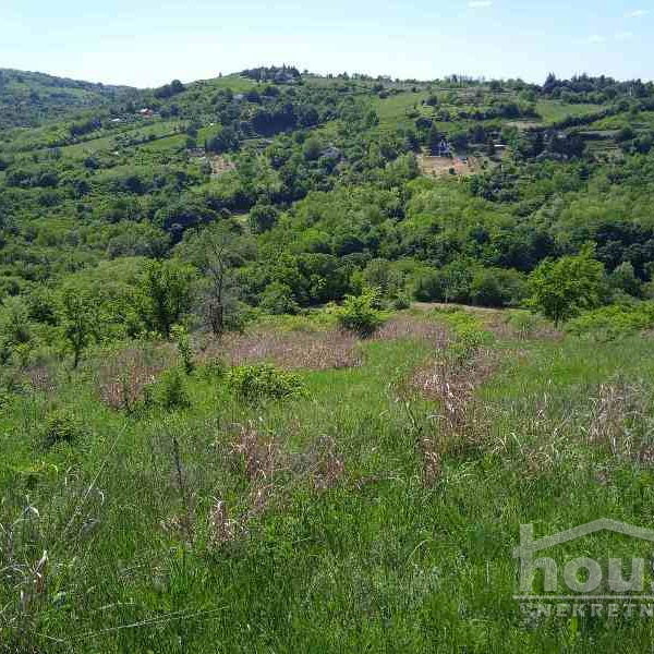 Plac Prodaja Novi Sad  6250 m2