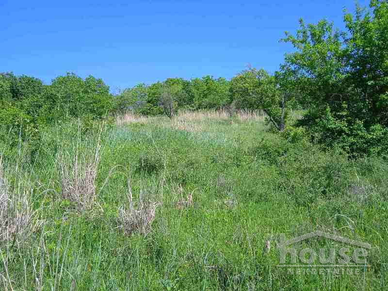 Plac Prodaja Novi Sad Plac Prodaja Novi Sad 6250 m2