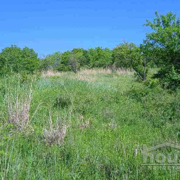 Plac Prodaja Novi Sad  6250 m2