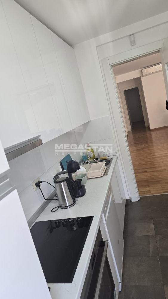 108095919-3-20250828152832 Četvorosoban stan za izdavanje, Senjak, Beograd, 157m², 2. sprat, 2.200 €/mes