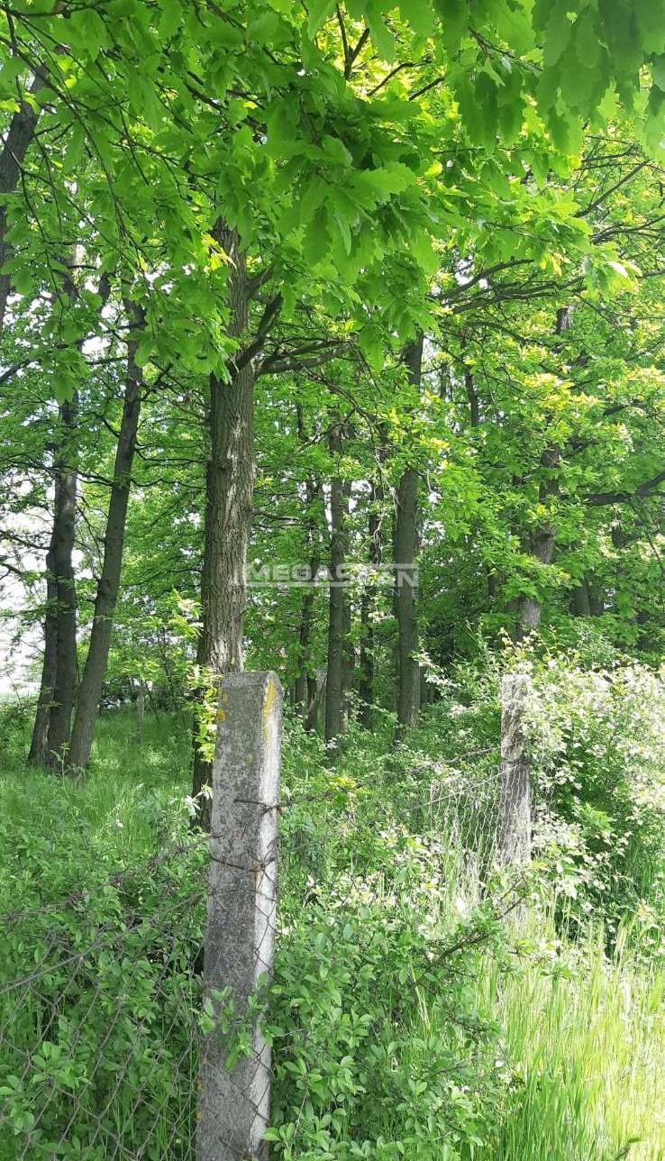 Plac na prodaju, Guncati, Beograd, 250.000 €