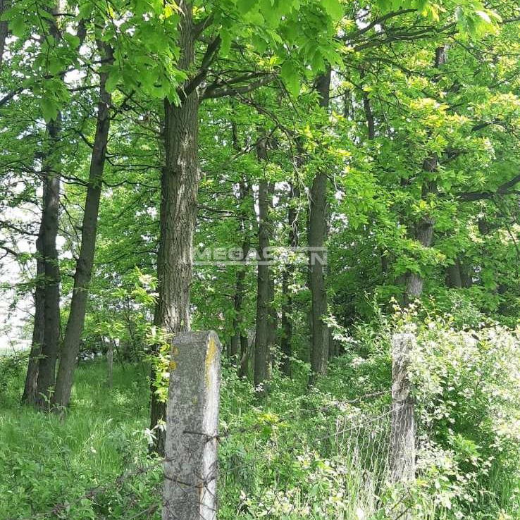 Plac na prodaju, Guncati, Beograd, 250.000 €