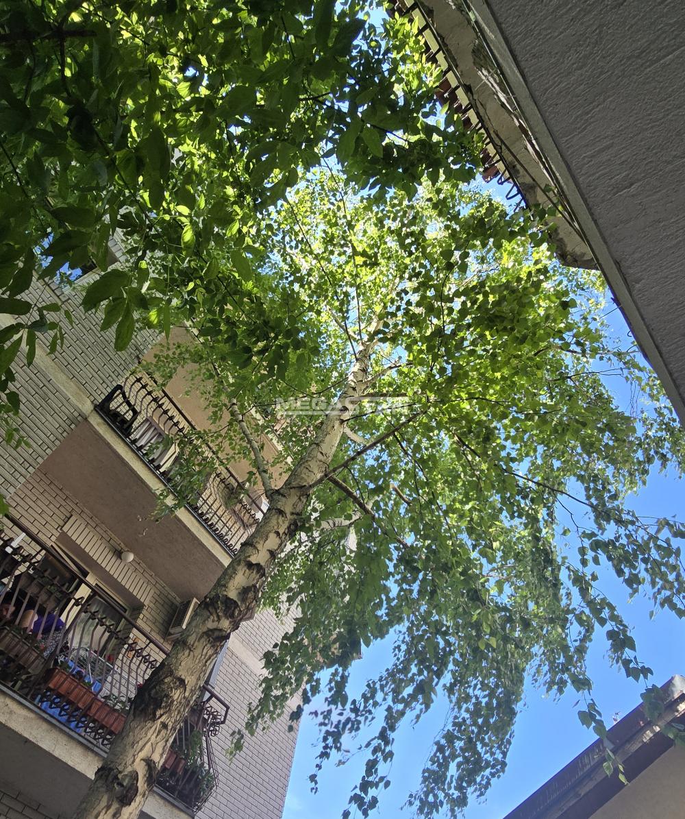 Dvosoban stan na prodaju, Žarkovo, Beograd, 59m², 125.000 €