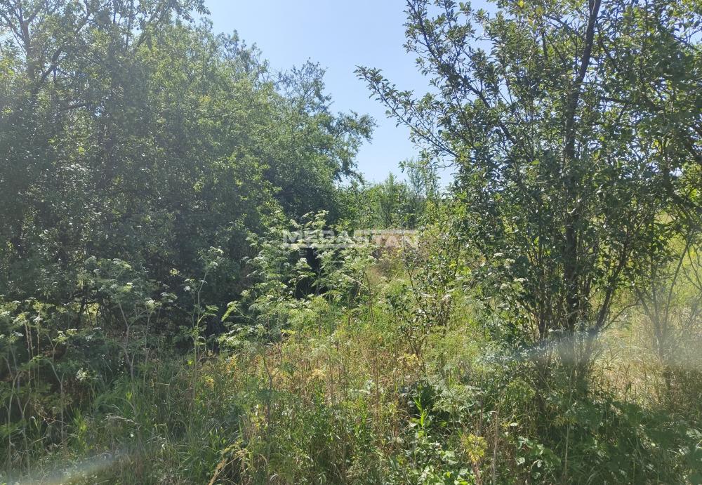 Plac Prodaja Beograd Plac Prodaja Beograd Beli Potok 0 m2