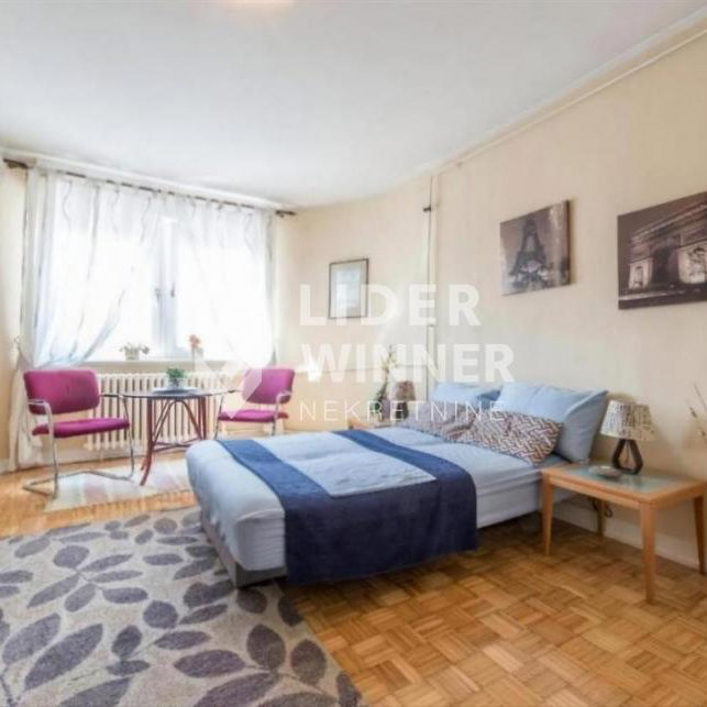 Garsonjera za izdavanje, Slavija, Beograd, 27m², 500 €/mes