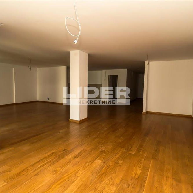 Četvorosoban stan za izdavanje, Hram Svetog Save, Beograd, 261m², 4.400 €/mes