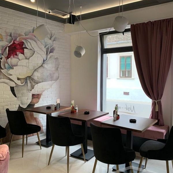 Lokal na prodaju, Centar, Novi Sad, 250m², 257.500 €