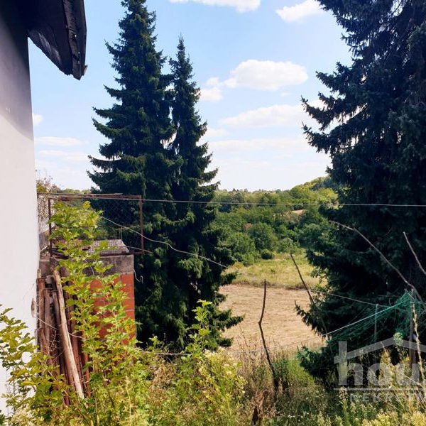Plac Prodaja Novi Sad  20000 m2