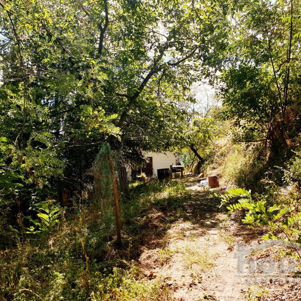 Plac na prodaju, Banstol, Sremski Karlovci, 20000m², 800.000 €