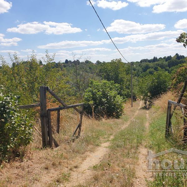 Plac na prodaju, Banstol, Sremski Karlovci, 20000m², 800.000 €