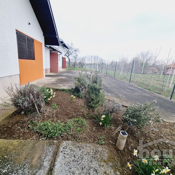 Kuća na prodaju, Čortanovci, Inđija, 200m², 111.000 €