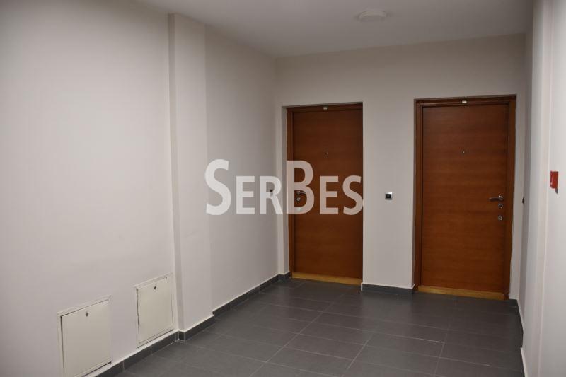 Lokal za izdavanje, Spens, Novi Sad, 185m², 1.850 €/mes
